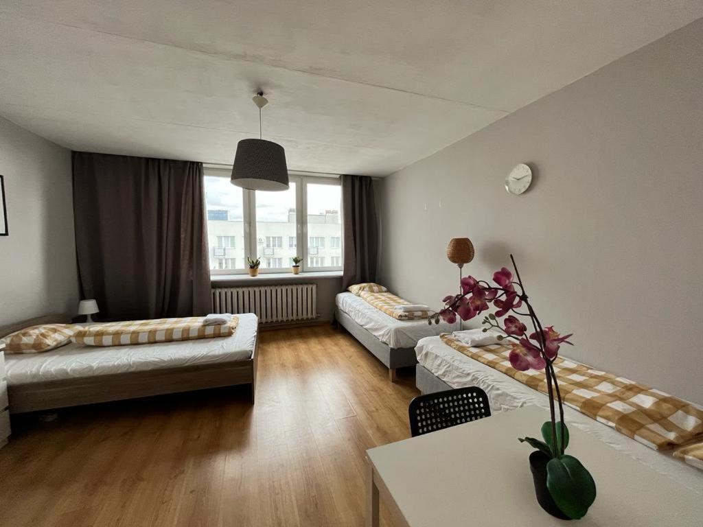 Labo Apartment Niska By Old Town 华沙 外观 照片